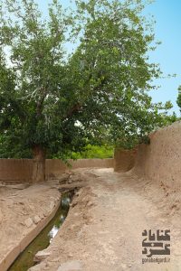 تصویر 5 کوچه‌ باغ‌ های ریاب