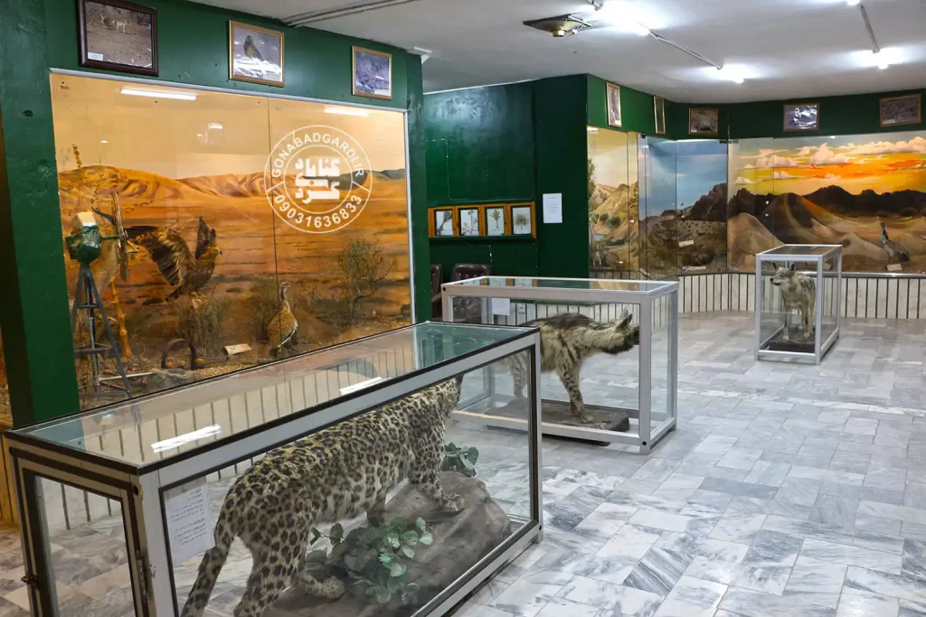 موزه تاریخ طبیعی گناباد