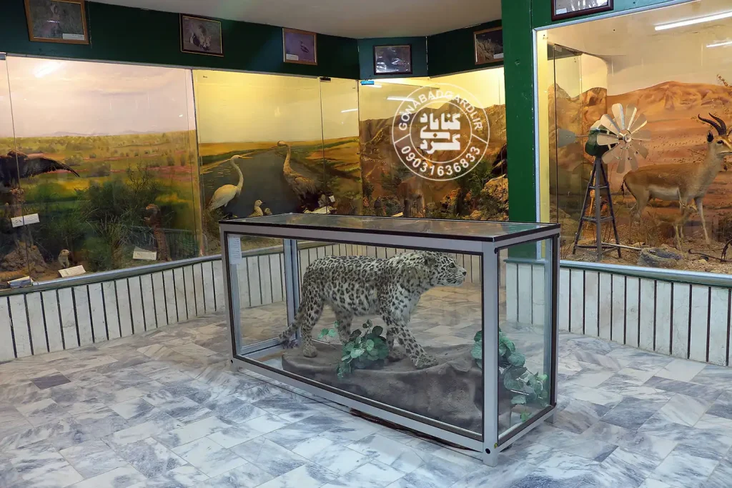 موزه تاریخ طبیعی گناباد