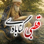 قطبی گنابادی شاعر صفوی