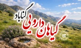 گیاهان دارویی گناباد