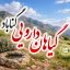 گیاهان دارویی گناباد