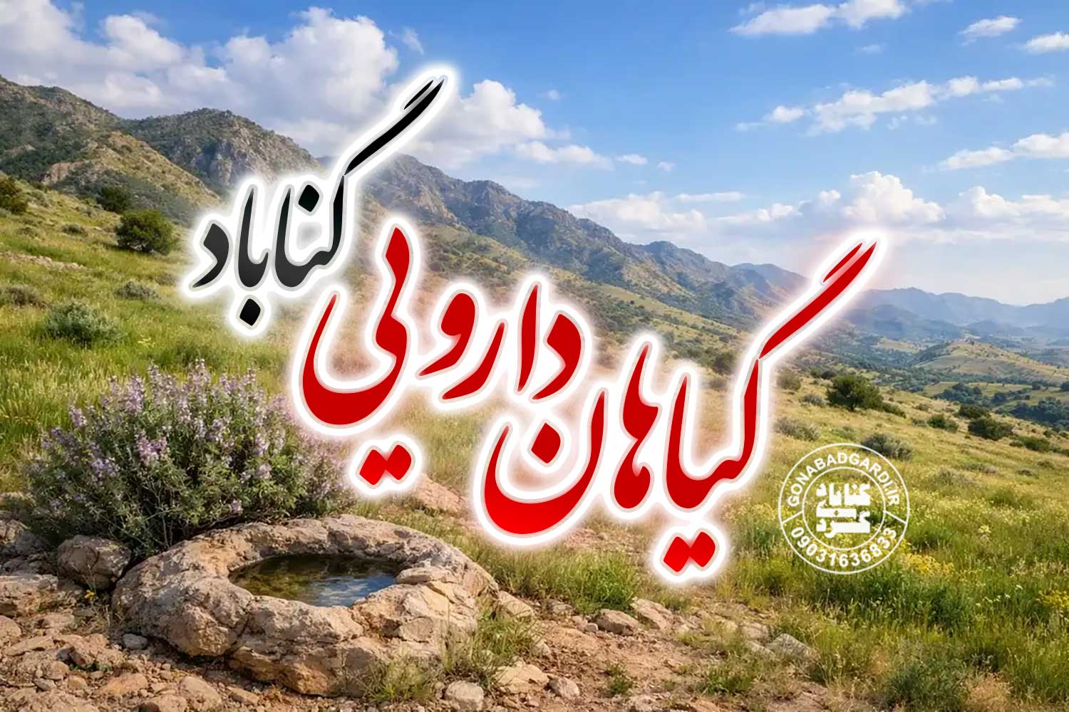 گیاهان دارویی گناباد